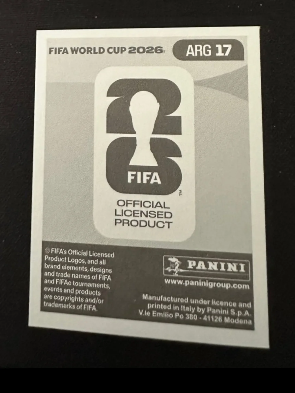 Panini fifa world